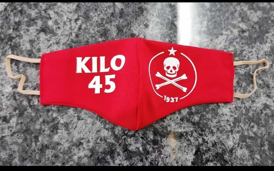 Pocket Size Picture Logo